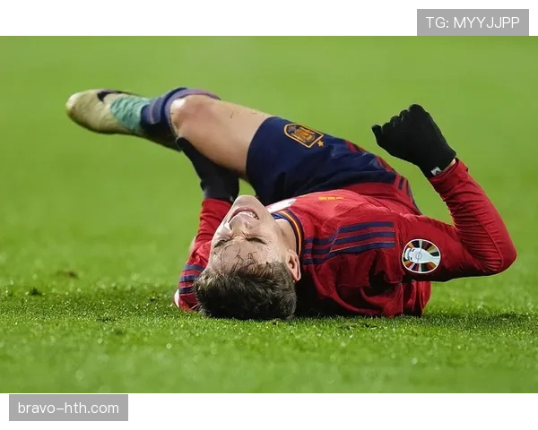 加维欧洲杯冠军时刻 加维欧洲杯冠军时刻