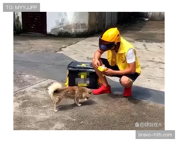 刘洋家的狗都比我们活得精致